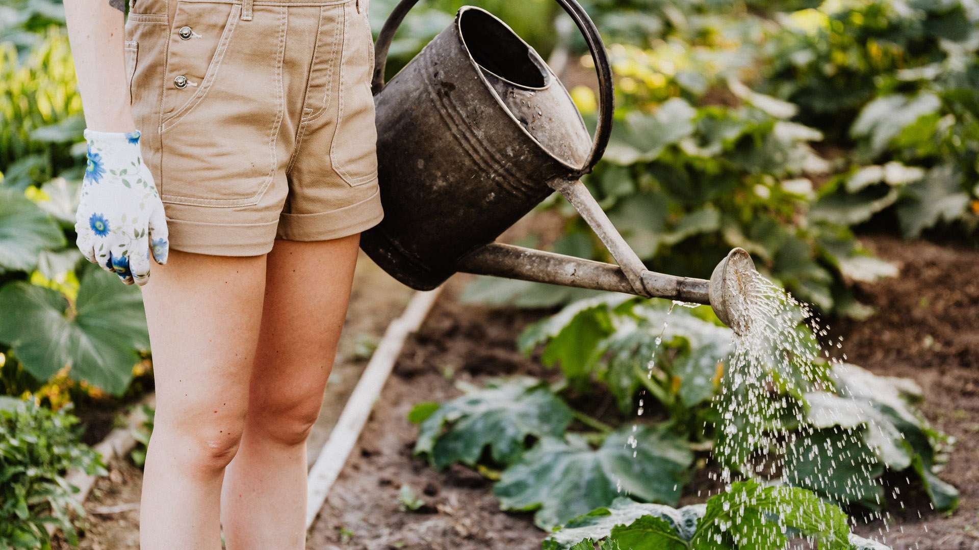 ecommerce articoli da giardino