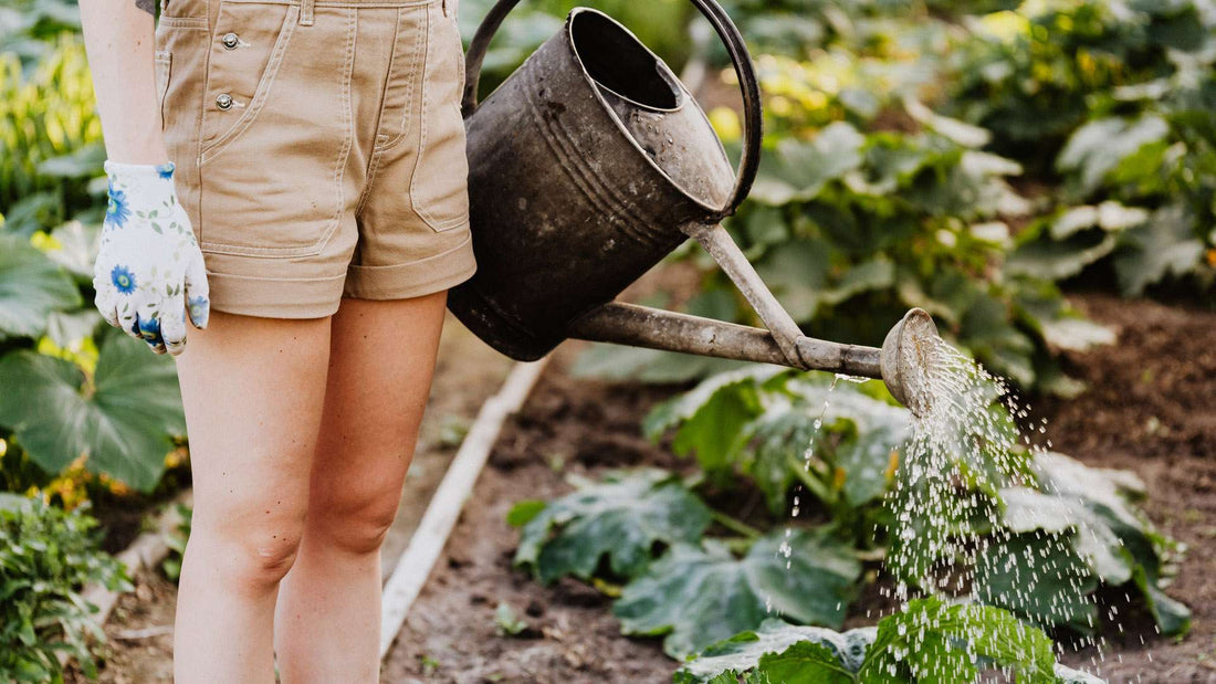 ecommerce articoli da giardino